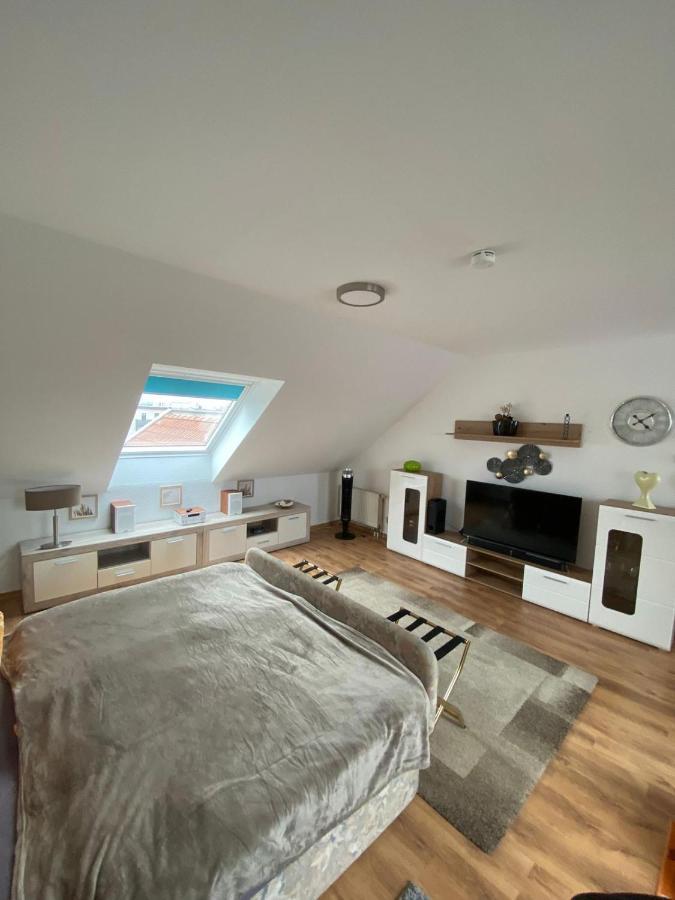 Dachgeschoss Apartment Mit Ausblick Halle  外观 照片